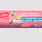 capricho publicidad