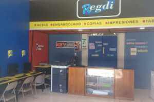 ciber REGDI