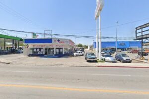 copiaso piedras negras