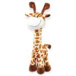 GIRAFA SA de CV