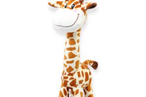 GIRAFA SA de CV