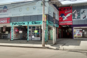 Mejores Imprentas En Santa Cruz Xoxocotlán Cerca De Mi