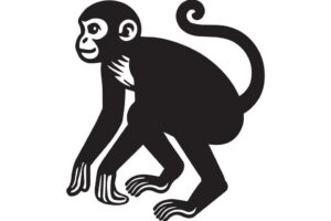 MONKEY GRÁPHIC