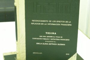 Tesis Matozo